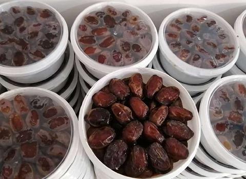 تصویر 5 از خرید و فروش خرما کبکاب سطلی با شرایط فوق العاده